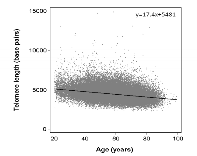 Telomere length vs age, new data