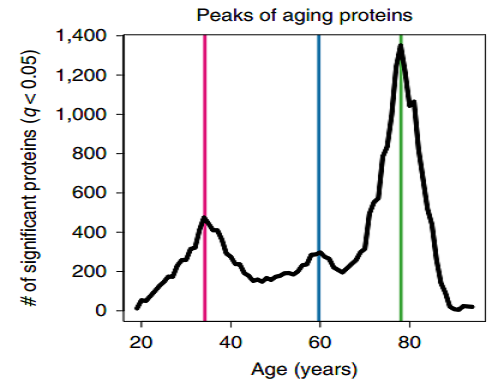 ages-when-proteins-change.png